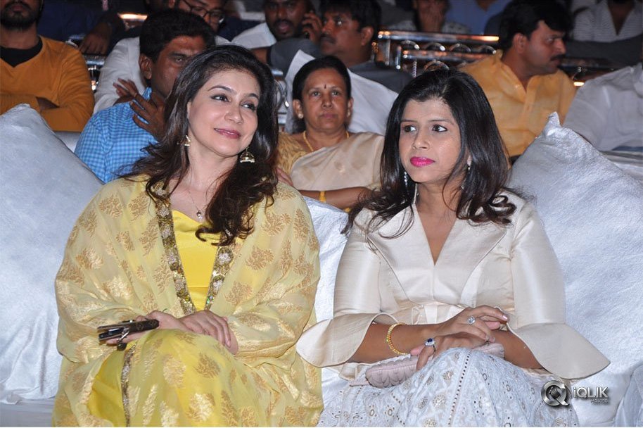 Chal-Mohan-Ranga-Pre-Release-Function-Photos